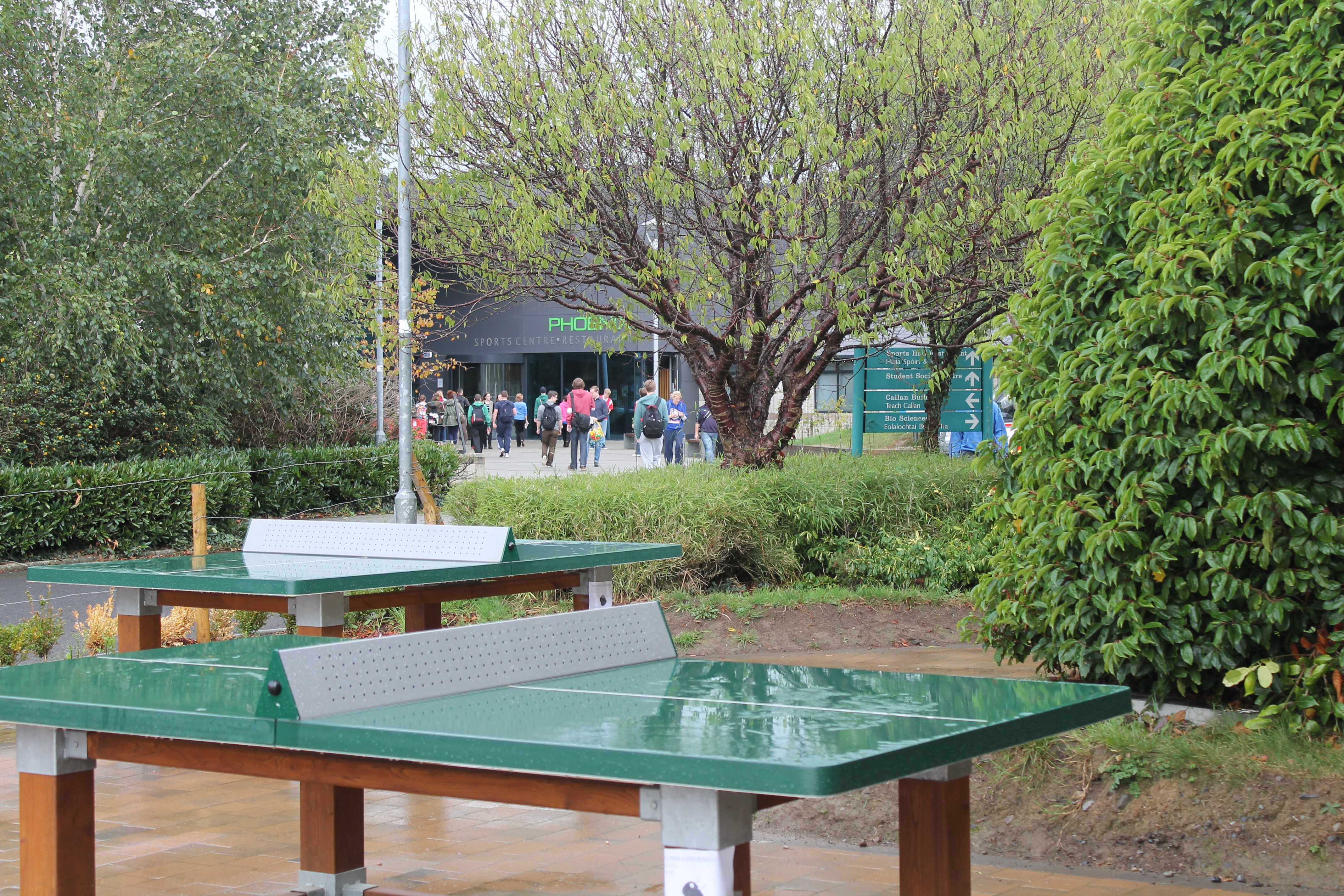 Table Tennis - Leadóg Bhoird