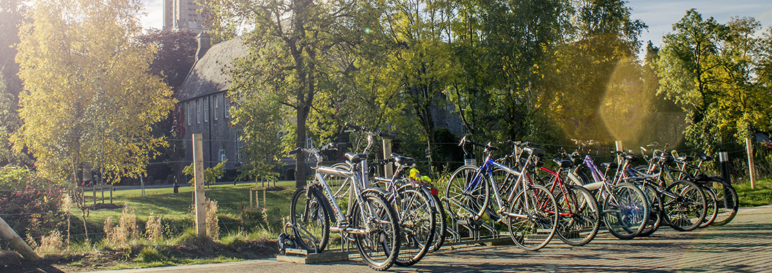 Bicycles by the Library