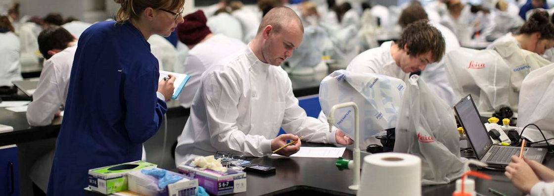 Biology Students at Work in a Lab - Maynooth University