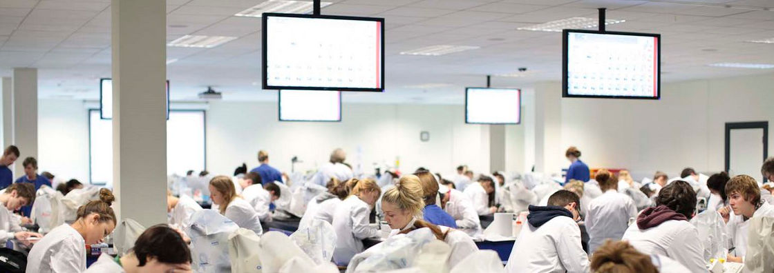 Biology Class Notes on Lab Screens - Maynooth University