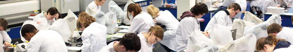 Biology Students at Work in the Lab - Maynooth University