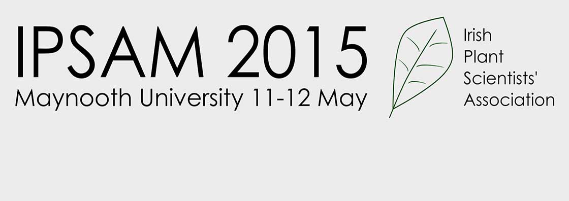 IPSAM - Logo - Maynooth University