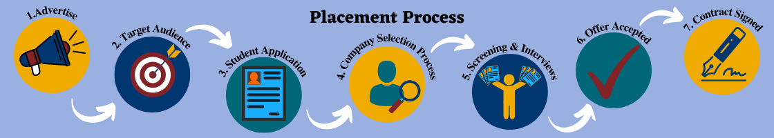 Maynooth university placement process image.
