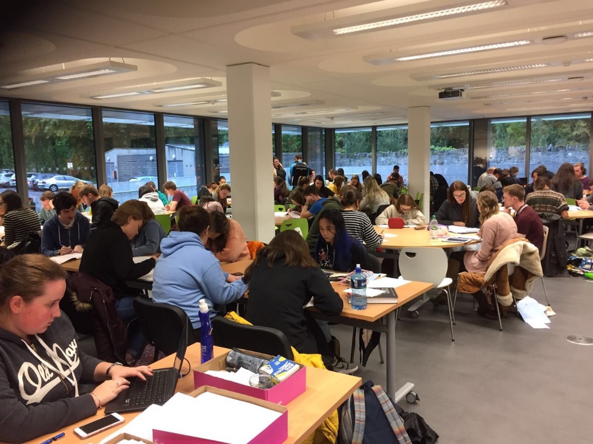 MSC group in Social Learning Room