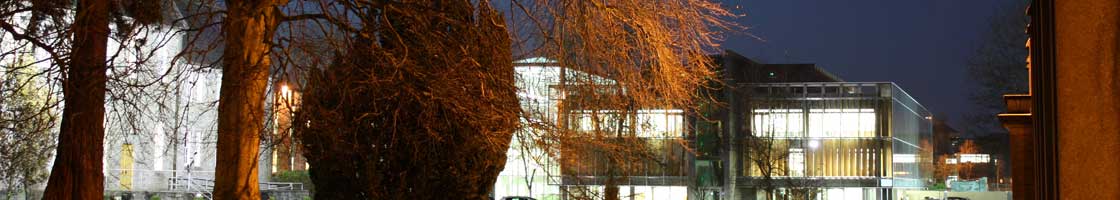 Micheal Bolger - library at night- Maynooth University