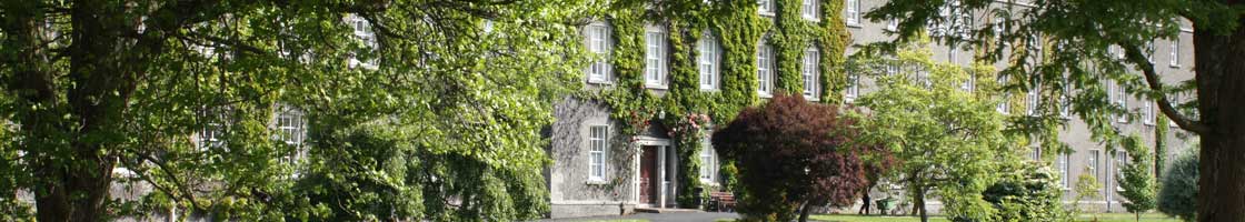 Micheal Bolger - New House - Maynooth University