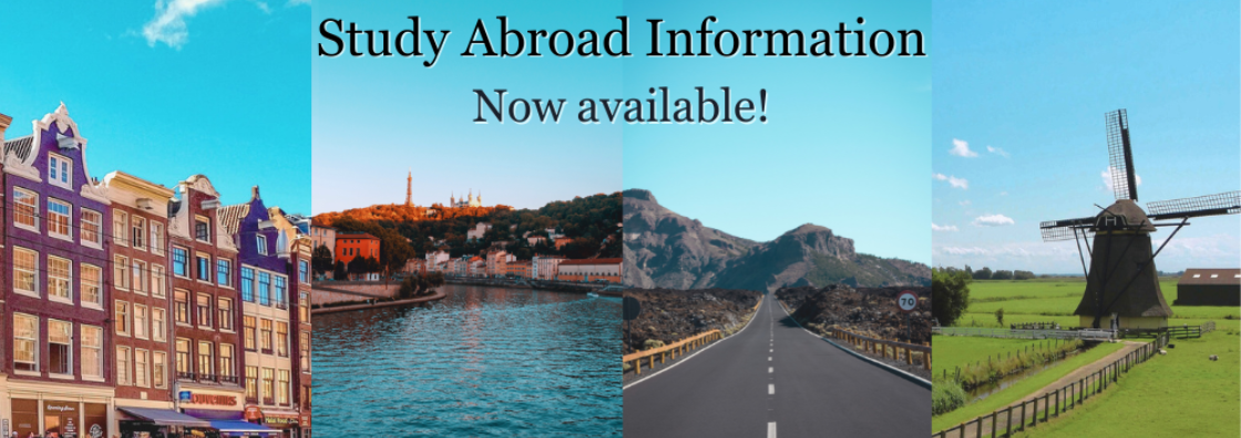 Maynooth University International IO_Study Abroad Information 