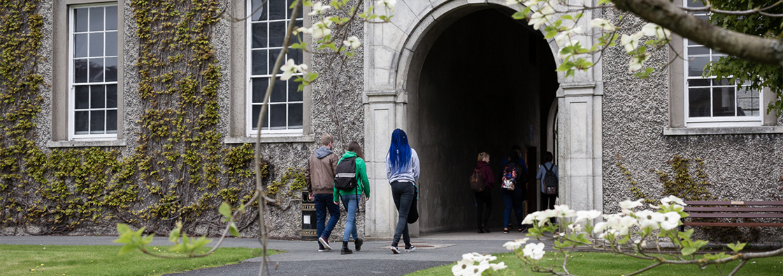 Dr Paul Ryan - Maynooth University