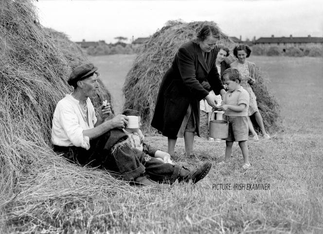 Family Rhythms cover image