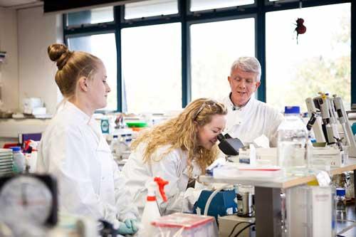 Communications & Marketing - Kevin Kavanagh lab with students biology 500 x 333 - Maynooth University