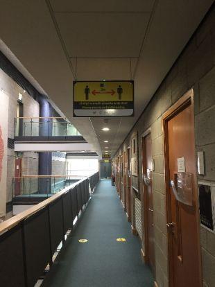 Psychology floor