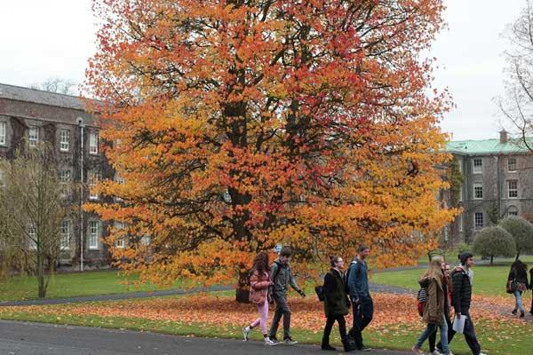 South Campus - Students at Graduation Tree - Maynooth University