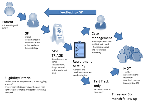 Feasibility Study