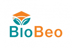 Bio Beo Logo