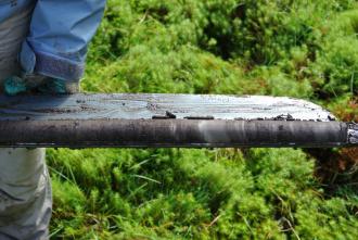 Soil core