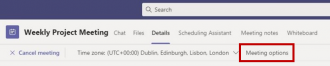 meeting options teams