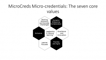 Graphic depiction of the 7 core values outlined below