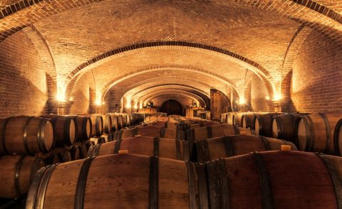Vaulted cellar with rows of wine barrels