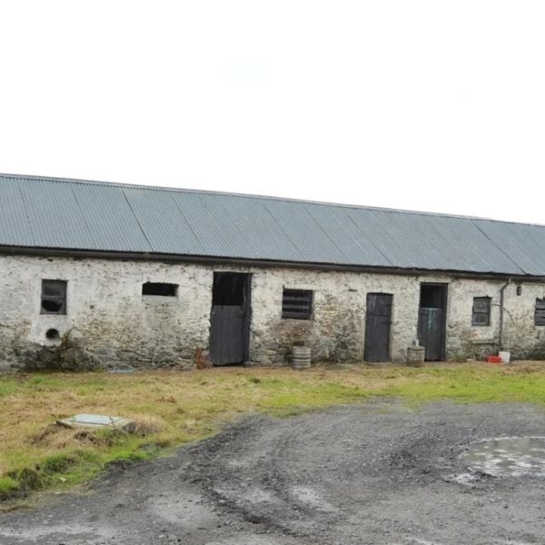 an old abandoned terraced house, cream walls, grey roof, and grass on yard