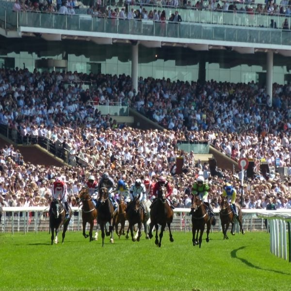 Horse racing event taking place on racecourse with a big audience in attendance