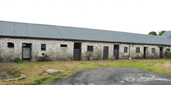 an old abandoned terraced house, cream walls, grey roof, and grass on yard