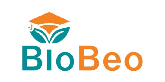 Bio Beo Logo