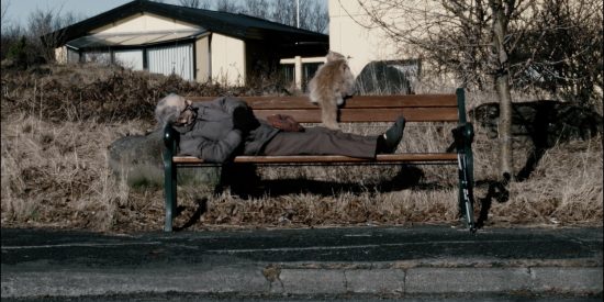 Trausti lying on a bench with cat
