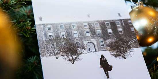 This image shows a Maynooth University Christmas Card, sitting in a christmas tree