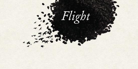 Flight cover