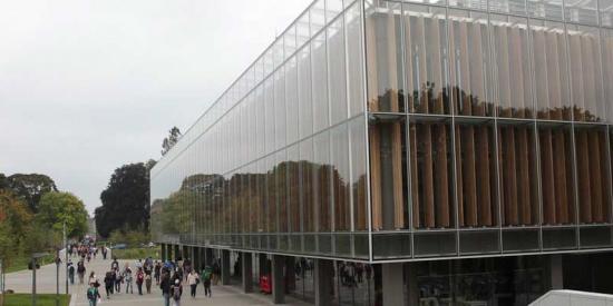 Library - Students Outside - Maynooth University