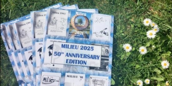 Copies of the 2025 edition of the Milieu on grass with daisies.  