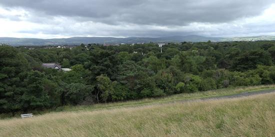 A view of a green space in the Phoenix Park