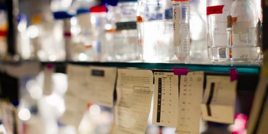 Biology - Lab containers - Maynooth University