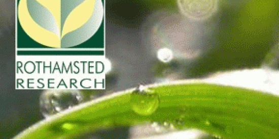 Rothamsted Research