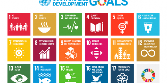 EU Sustainable Goals