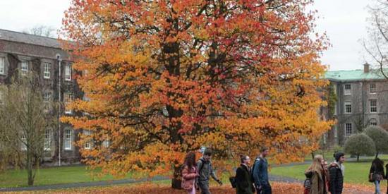 South Campus - Students at Graduation Tree - Maynooth University
