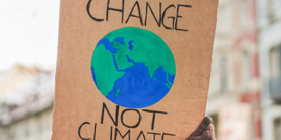 System change not climate change 