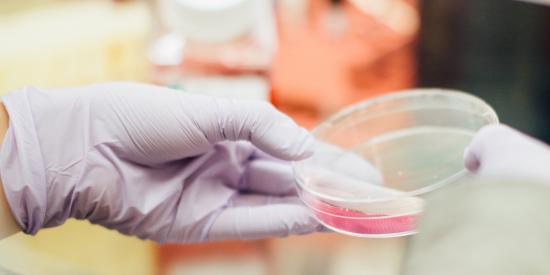 close up photo of hands conducting scientific laboratory work