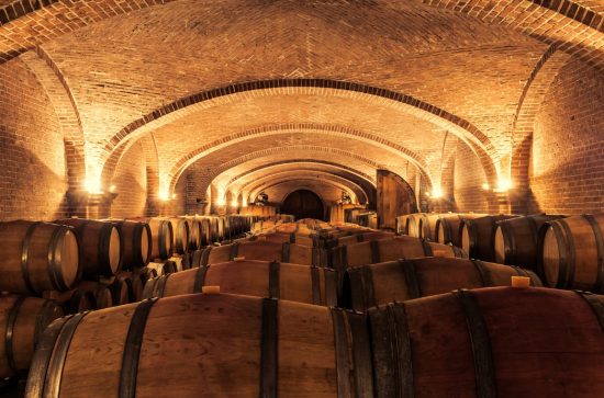 Vaulted cellar with rows of wine barrels