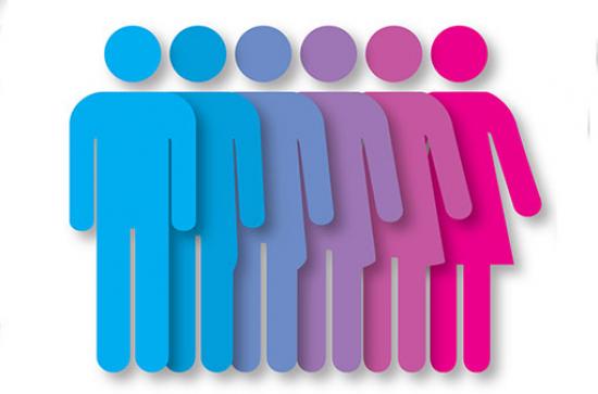 Measuring Gender Representation In The Political Process Maynooth